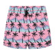 Hurley Ανδρικό μαγιό Cannonball Volley Boardshorts 17"